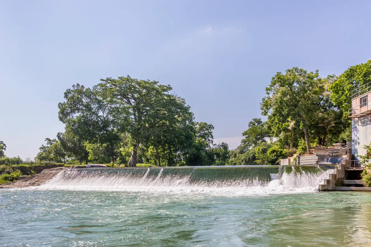 Low dam spilling white water across the green San Marcos River beneath leafy trees
