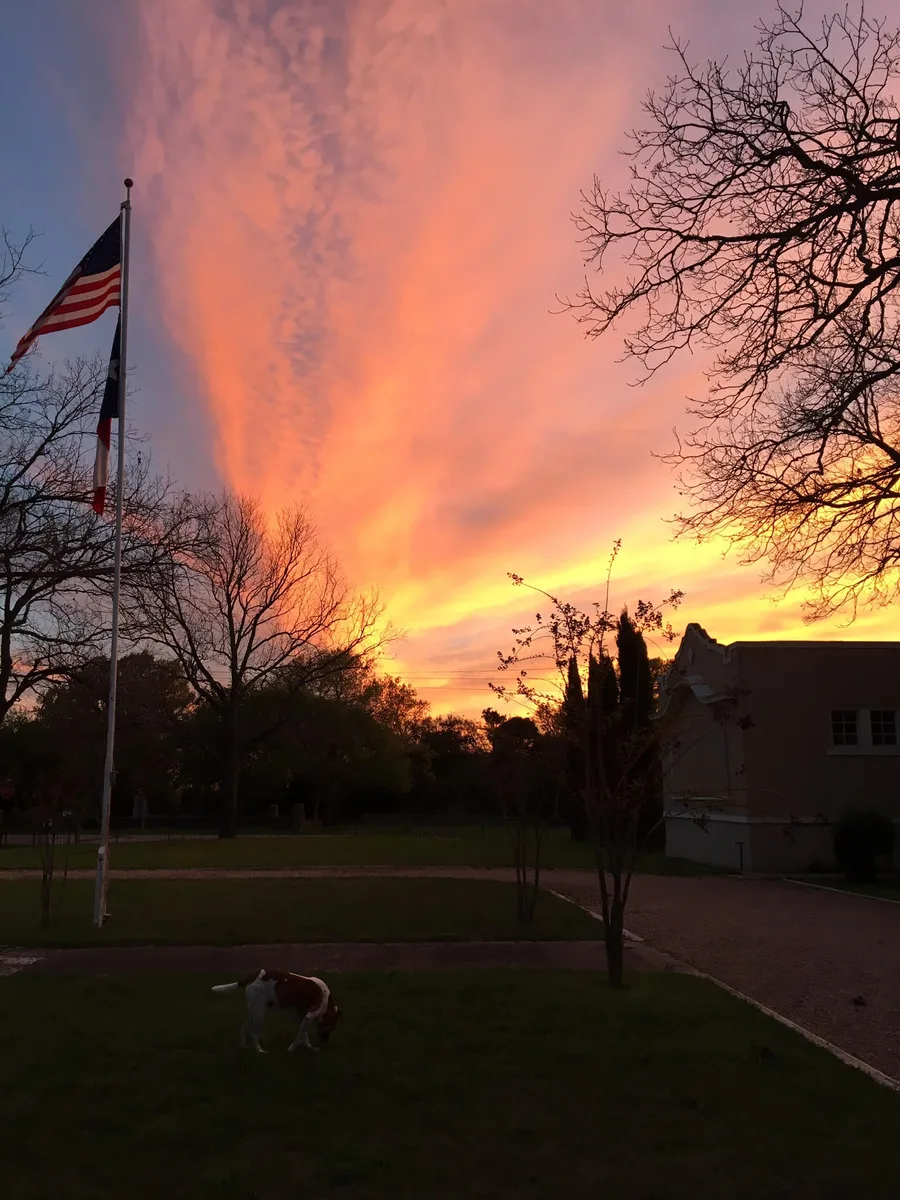American and Texas flags against a blazing orange sunset, a dog crossing the lawn