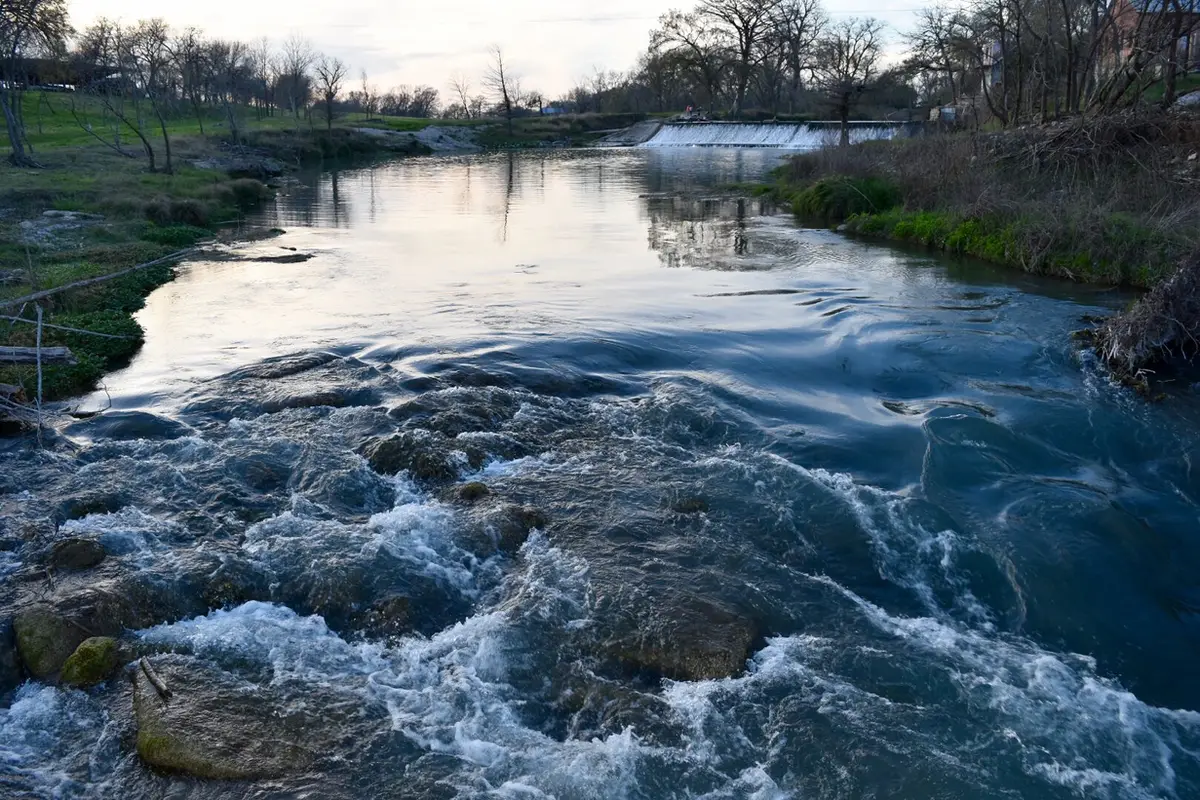 The San Marcos River rushing over rocks below a low dam, bare winter trees